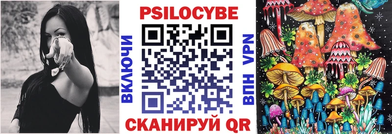 дарк нет телеграм  Стародуб  Галлюциногенные грибы Cubensis 
