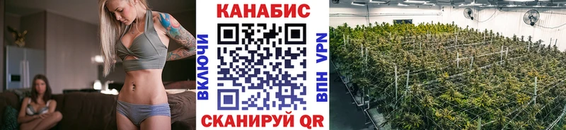 купить наркотик  Стародуб  Каннабис индика 